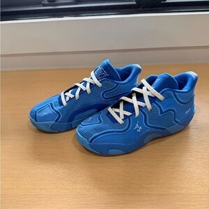 Boys Nike Jordan Jason Tatum Basketball Shoes